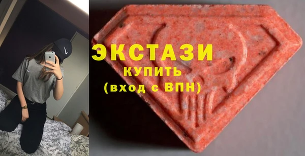 гашик Алексин