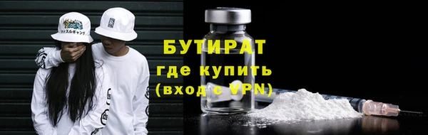 гашик Алексин