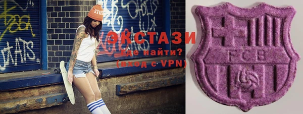гашик Алексин