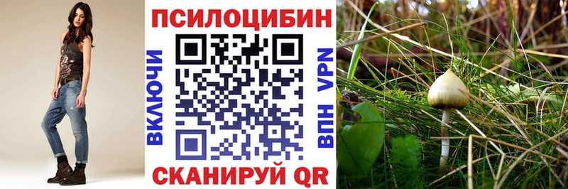 kraken зеркало  Лениногорск  Галлюциногенные грибы Psilocybine cubensis 