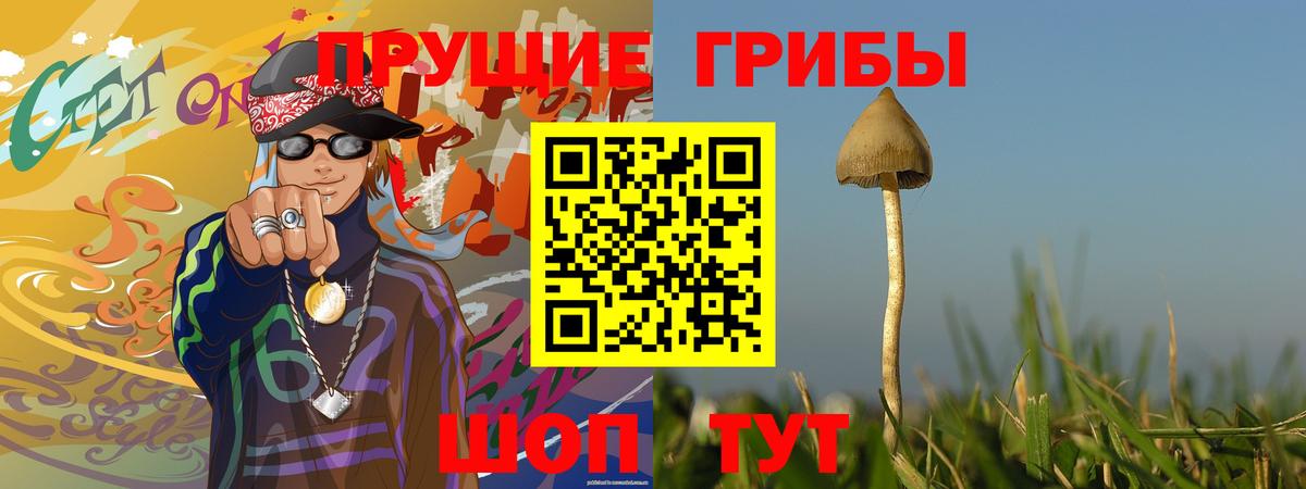 Псилоцибиновые грибы ЛСД  Вход с VPN  Лениногорск 
